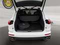 Porsche Cayenne Cayenne Plug-In Hybrid II Weiß - thumbnail 14
