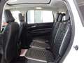 Ford S-Max 2.0 TDCI Vignale AWD 7 Posti TETTO-NAVI-PELLE-PARK Bianco - thumbnail 8