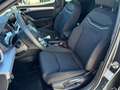 SEAT Ibiza FR Austria 1.0 TSI Grau - thumbnail 6