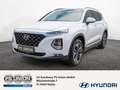 Hyundai SANTA FE 2.2 Premium 4WD HUD LED PANO 360° Blanco - thumbnail 1