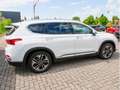 Hyundai SANTA FE 2.2 Premium 4WD HUD LED PANO 360° Blanco - thumbnail 3