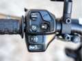 Indian FTR 1200 Sport 1OF1/Öhlins/Rizoma/GillesTooling/Jekill\u002 Rouge - thumbnail 16