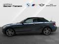 BMW M2 40i Cabrio DrivingAss/ Business Paket/ HiFi/ Lordo Grau - thumbnail 3