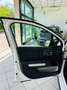 Citroen C3 C3 2021 1.5bluehd Shine Pack NO CINGHIA BAGNO OLIO Bianco - thumbnail 9