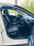 Citroen C3 C3 2021 1.5bluehd Shine Pack NO CINGHIA BAGNO OLIO Bianco - thumbnail 14