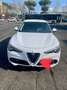 Alfa Romeo Stelvio 2.2 t Executive Q4 210cv auto Bianco - thumbnail 4