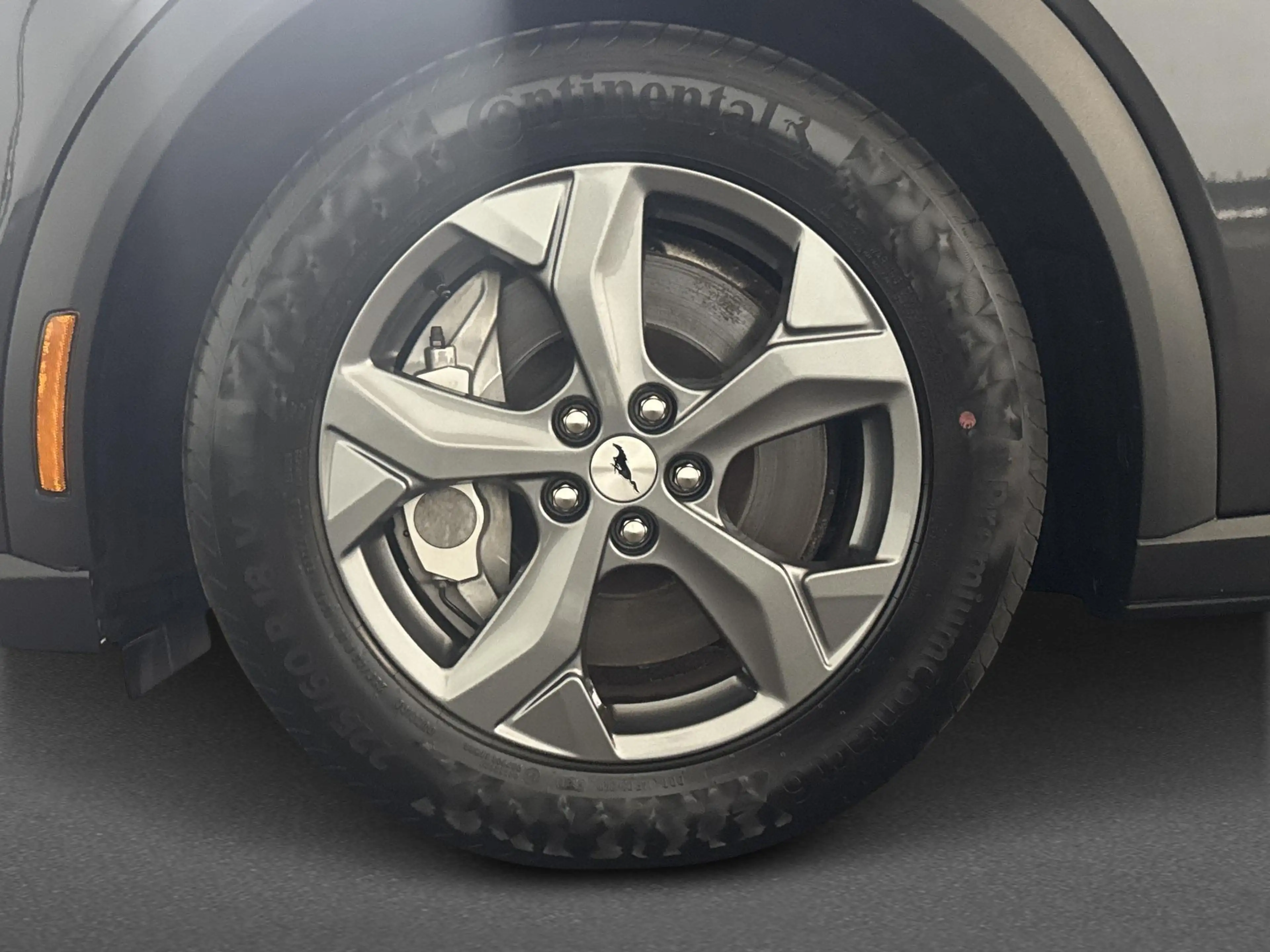 Ford Mustang Mach-E Extended RWD 98 kWh | Premium | SOH 96.4% | Panora — photo 12