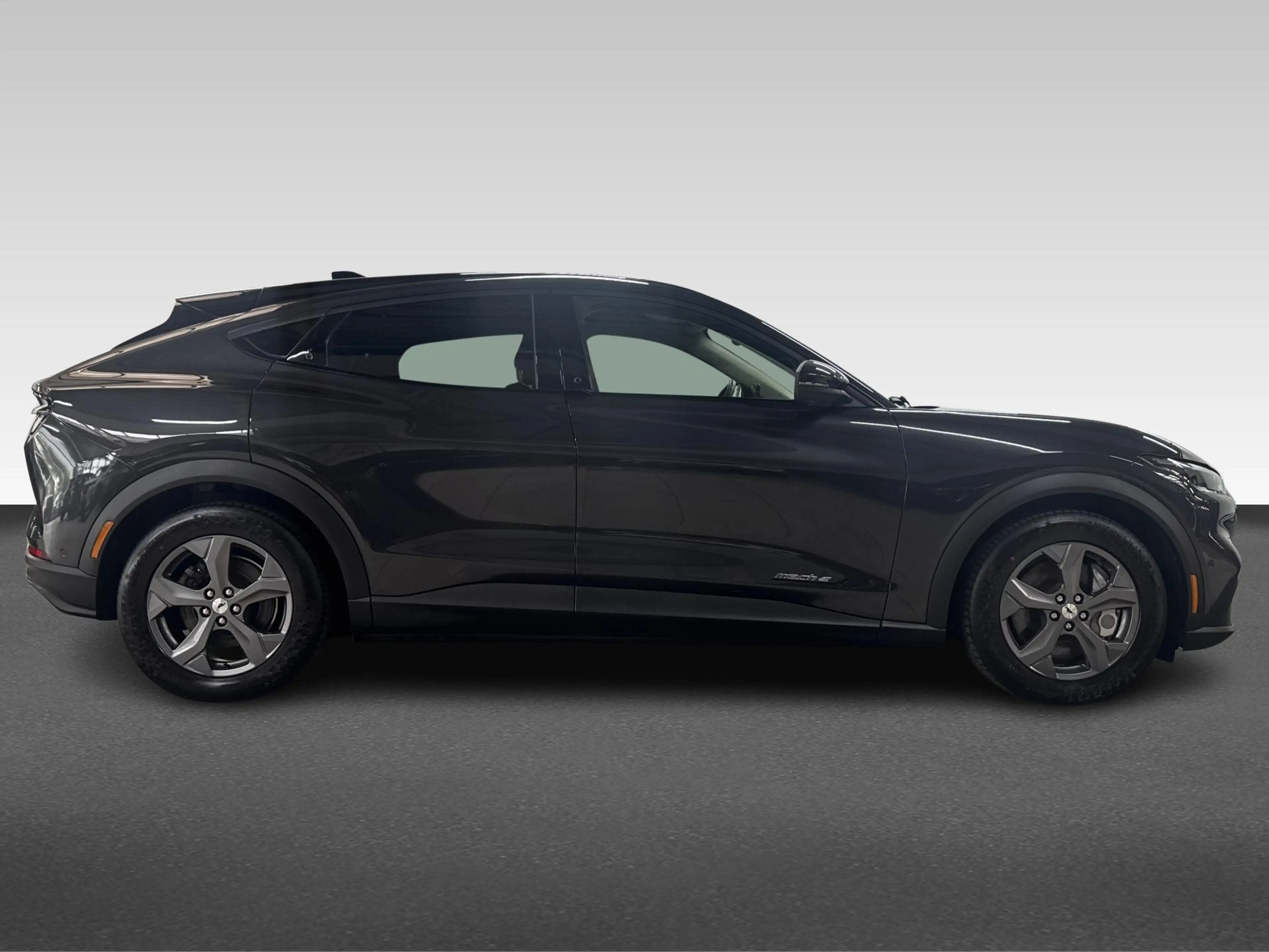 Ford Mustang Mach-E Extended RWD 98 kWh | Premium | SOH 96.4% | Panora — photo 10