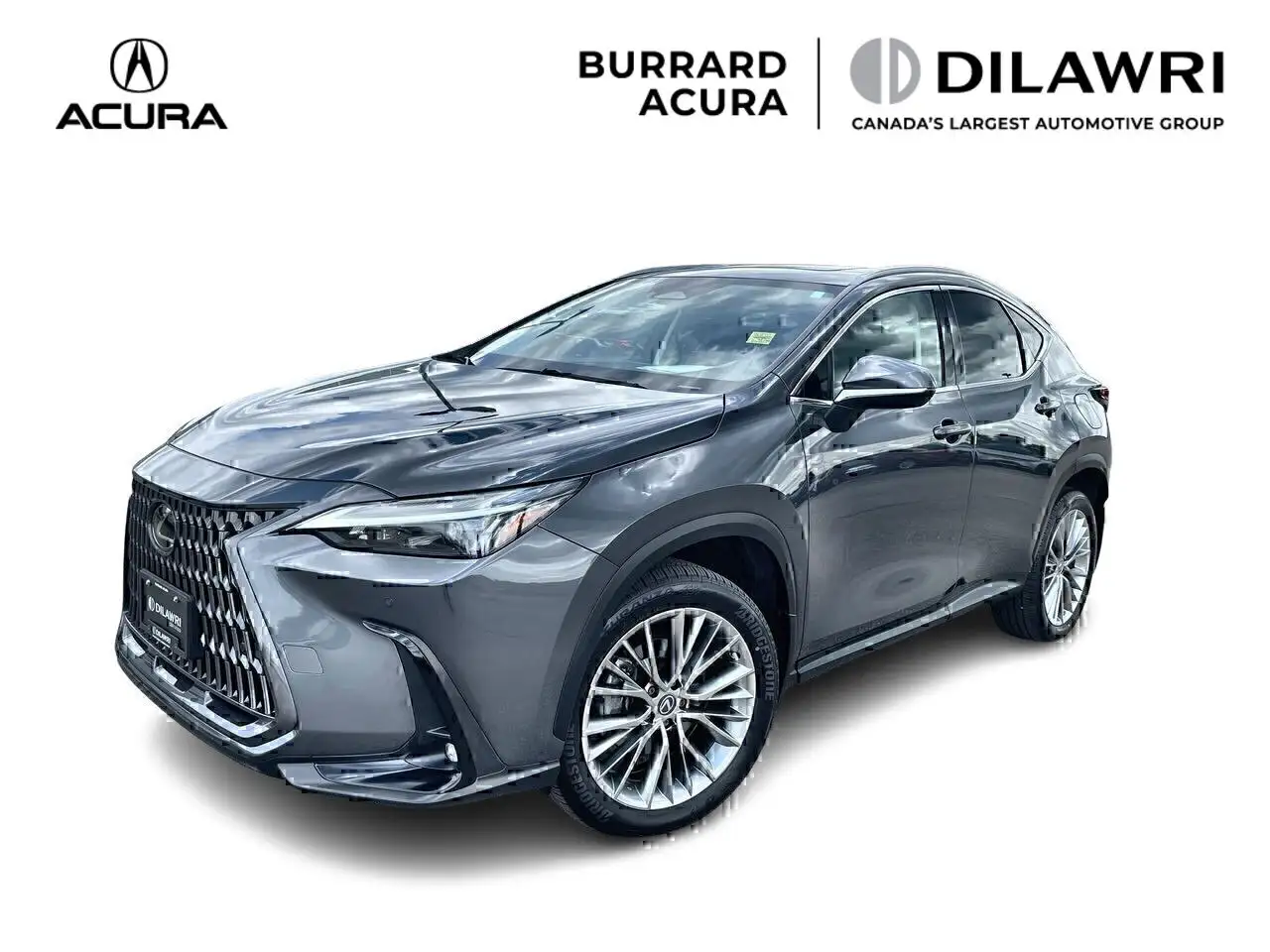 Lexus NX fotografie Lexus NX