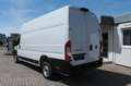 Fiat Ducato L4 H3 / Superhochdach Weiß - thumbnail 3