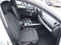 Audi A4 Avant 35 TFSI S-tronic *VIRTUAL+LED+NAVI* Weiß - thumbnail 10