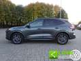 Ford Kuga 2.5 Plug In Hybrid 225 CV CVT 2WD ST-Line Grau - thumbnail 4