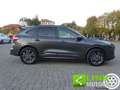 Ford Kuga 2.5 Plug In Hybrid 225 CV CVT 2WD ST-Line Grau - thumbnail 2