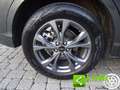 Ford Kuga 2.5 Plug In Hybrid 225 CV CVT 2WD ST-Line Grau - thumbnail 13
