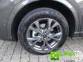 Ford Kuga 2.5 Plug In Hybrid 225 CV CVT 2WD ST-Line Grau - thumbnail 22
