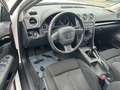SEAT Exeo Sport Blanc - thumbnail 9
