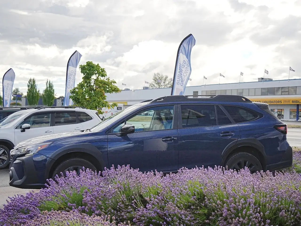 Subaru OUTBACK fotografie Subaru OUTBACK