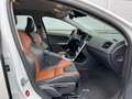 Volvo V60 Cross Country 2.0 D4 Sum Buss CLIMA|NAV|CRUISE|NAP| Blanc - thumbnail 12