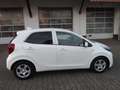 Kia Picanto Vision Weiß - thumbnail 4