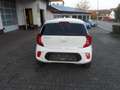 Kia Picanto Vision Weiß - thumbnail 6