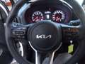 Kia Picanto Vision Weiß - thumbnail 14