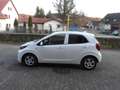 Kia Picanto Vision Weiß - thumbnail 8