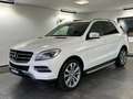 Mercedes-Benz ML 250 CDI BlueTec*PDC*Bi Xenon ILS*Sport*HU Neu Weiß - thumbnail 2