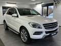 Mercedes-Benz ML 250 CDI BlueTec*PDC*Bi Xenon ILS*Sport*HU Neu Weiß - thumbnail 4