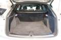 Audi Q5 40 TDI Quattro S-Tronic S-Line - PELLE/ADAS/TELEC. Argento - thumbnail 12