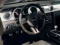 Ford Mustang 4.6 V8 305 BULLITT Schwarz - thumbnail 16