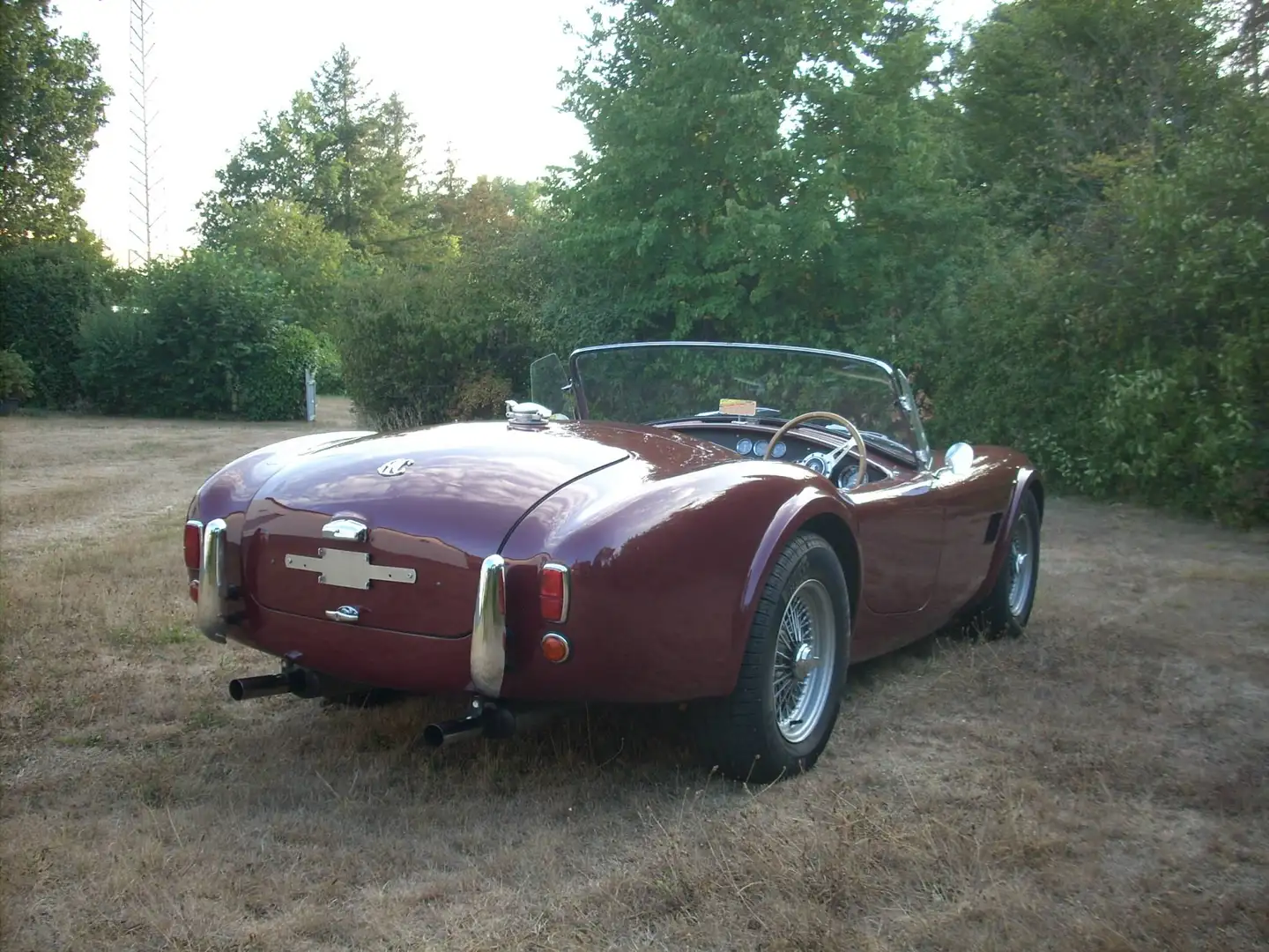 AC Cobra 289 Replica Rot - 2