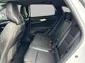 Renault Austral 1.2 mild hybrid 160 X-tronic techno esprit Alpine Blanc - thumbnail 9