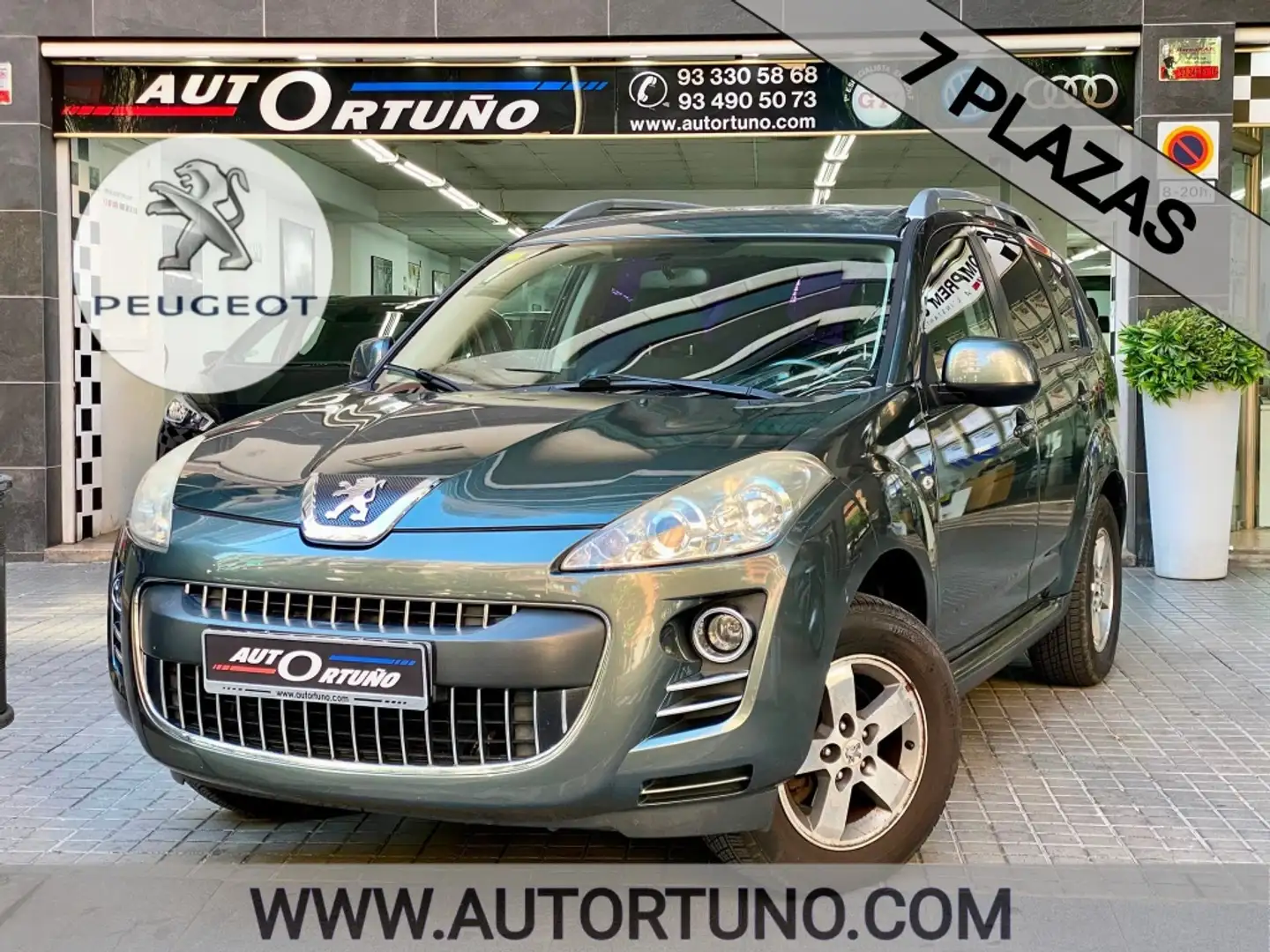 Peugeot 4007 2.2HDI Premium Grau - 1