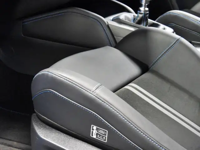 Ford Focus view 14