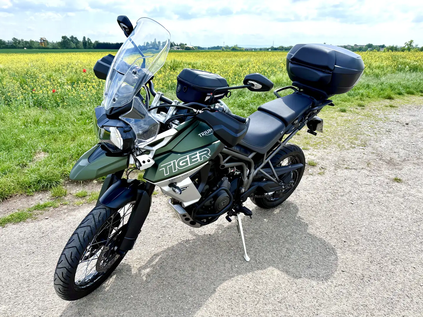 Triumph Tiger 800 xcx Vert - 2
