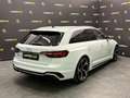 Audi RS4 2.9 TFSI QUATTRO 450CV*PINZE ROSSE*PELLE* Blanc - thumbnail 3