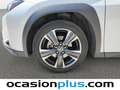Lexus UX 250h Premium 2WD Weiß - thumbnail 31