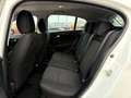 Fiat Tipo Cross 1.5 t4 hybrid CityCross 130cv dct Bianco - thumbnail 7