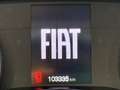 Fiat Tipo Cross 1.5 t4 hybrid CityCross 130cv dct Bianco - thumbnail 12