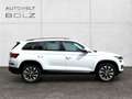 Skoda Kodiaq Clever 4x4 2.0 TDI StandHZG AHK Navi 360 Kamera LE Weiß - thumbnail 8