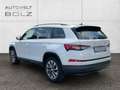 Skoda Kodiaq Clever 4x4 2.0 TDI StandHZG AHK Navi 360 Kamera LE Weiß - thumbnail 6