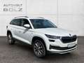 Skoda Kodiaq Clever 4x4 2.0 TDI StandHZG AHK Navi 360 Kamera LE Weiß - thumbnail 3