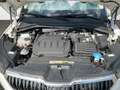 Skoda Kodiaq Clever 4x4 2.0 TDI StandHZG AHK Navi 360 Kamera LE Weiß - thumbnail 20