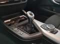 BMW 116 - 116d 5p. Business Bianco - thumbnail 18