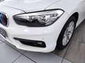 BMW 116 - 116d 5p. Business Bianco - thumbnail 3