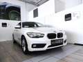 BMW 116 - 116d 5p. Business Bianco - thumbnail 1