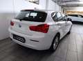 BMW 116 - 116d 5p. Business Bianco - thumbnail 5