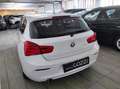 BMW 116 - 116d 5p. Business Bianco - thumbnail 6