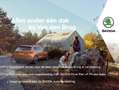 Skoda Fabia 1.0 TSI 95pk Ambition | Afneembare trekhaak | Adap Blauw - thumbnail 31