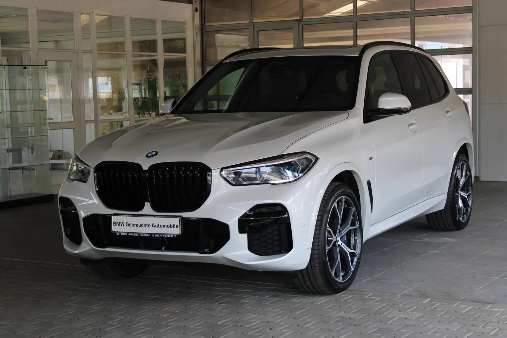 BMW X5 xDrive40d M Sportpaket Gestiksteuerung DAB Blanco - 2